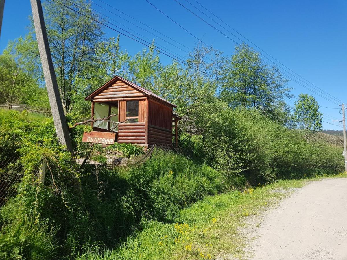 Appartamento Карпатський Будинок Izki Esterno foto