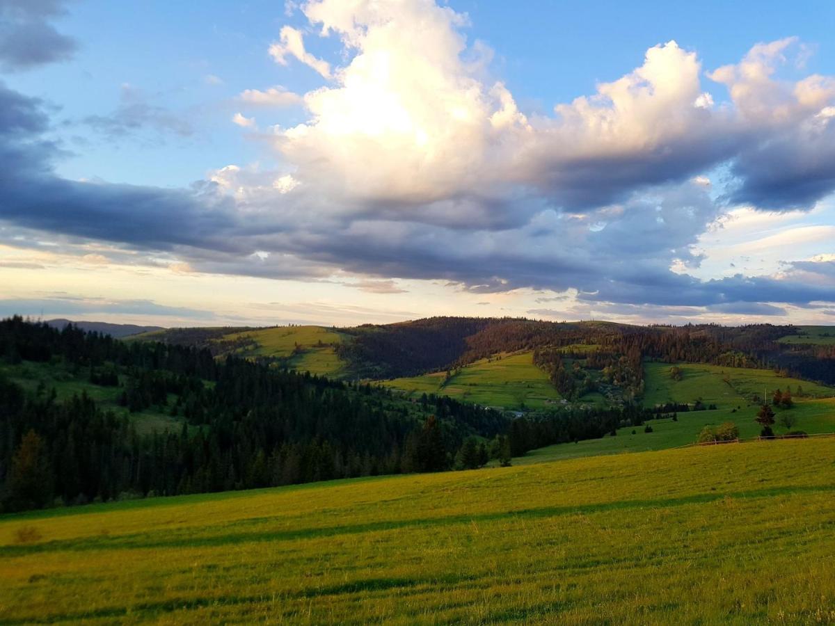 Appartamento Карпатський Будинок Izki Esterno foto