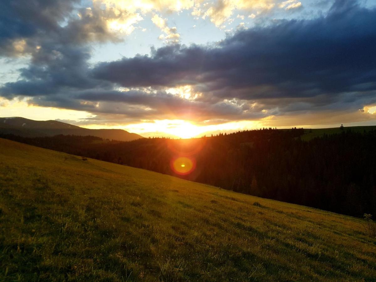Appartamento Карпатський Будинок Izki Esterno foto