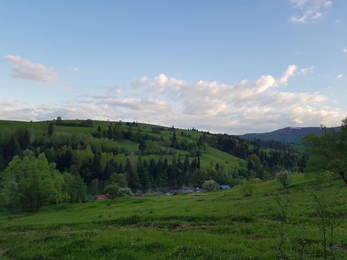 Appartamento Карпатський Будинок Izki Esterno foto